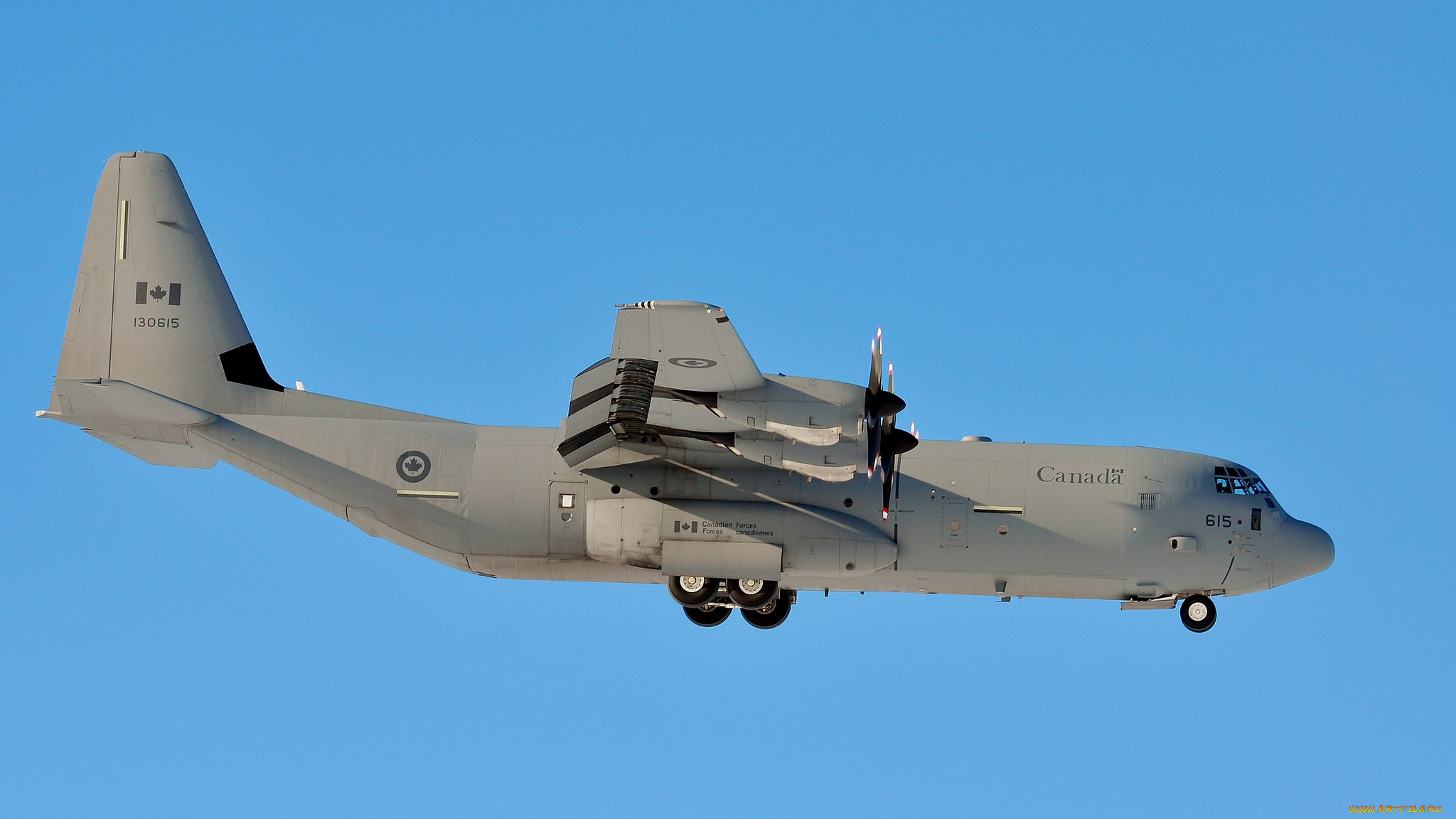 C 130 50. ВВС cc-130j Hercules. Lockheed cc130j Hercules. C-130 Hercules Канады. Военно транспортный самолет Канады.